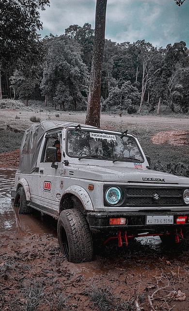 乓球赛场上 乓球赛场上