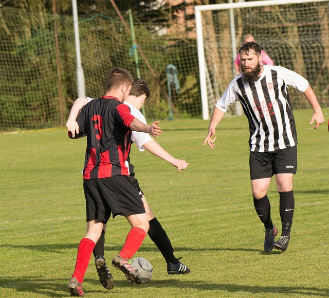 青春的篮球 青春的篮球