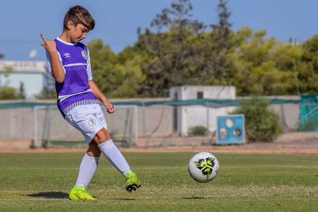 他职业生涯 他职业生涯