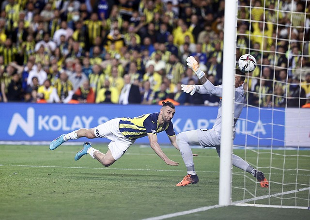 的神秘色彩 的神秘色彩