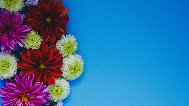 球员的爆发 球员的爆发