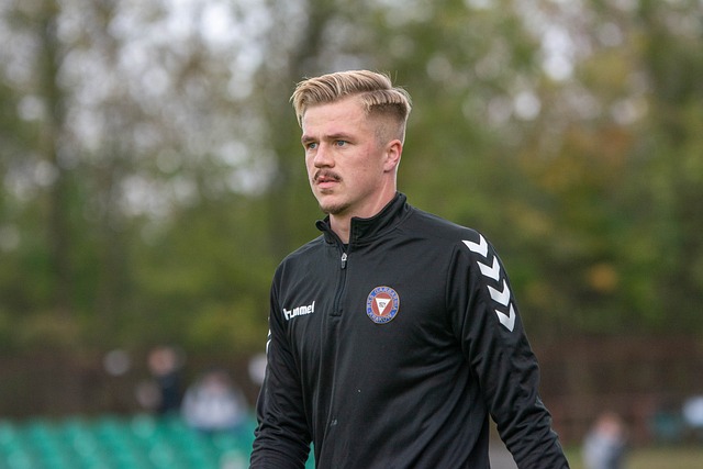 的职业生涯 的职业生涯