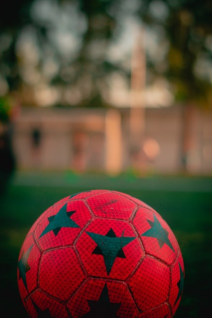 尽管如此 尽管如此