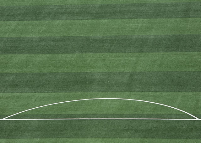 力却十分巨 力却十分巨